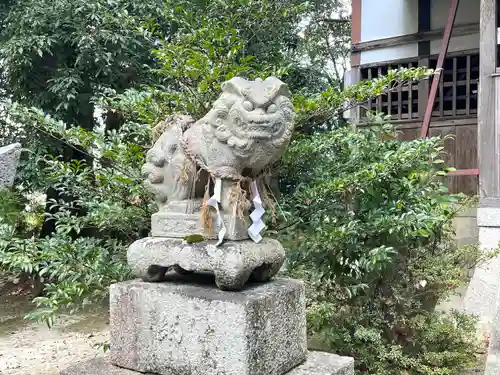 白鬚神社(滋賀県)