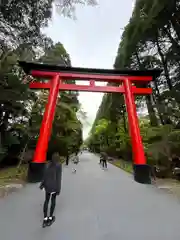 霧島神宮(鹿児島県)