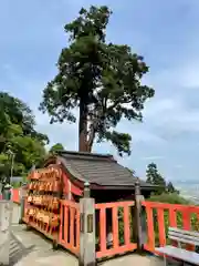 太平山神社(栃木県)