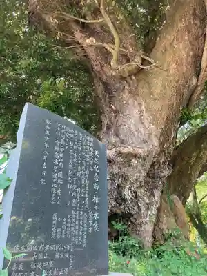 三嶋神社(茨城県)
