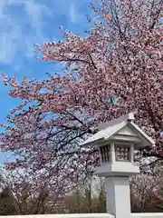 樽前山神社の自然