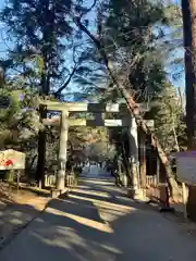 岩槻久伊豆神社の鳥居