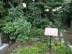 埼玉縣護國神社の建物その他