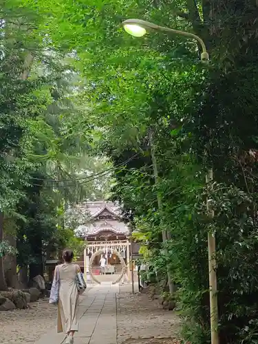 代々木八幡宮の本殿・本堂