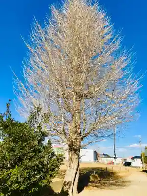 鹿島神社 の自然