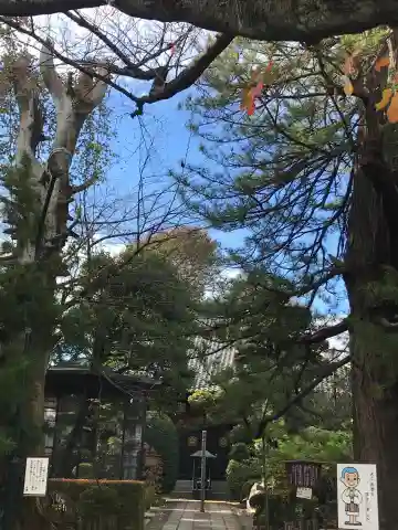 円福寺の本殿・本堂