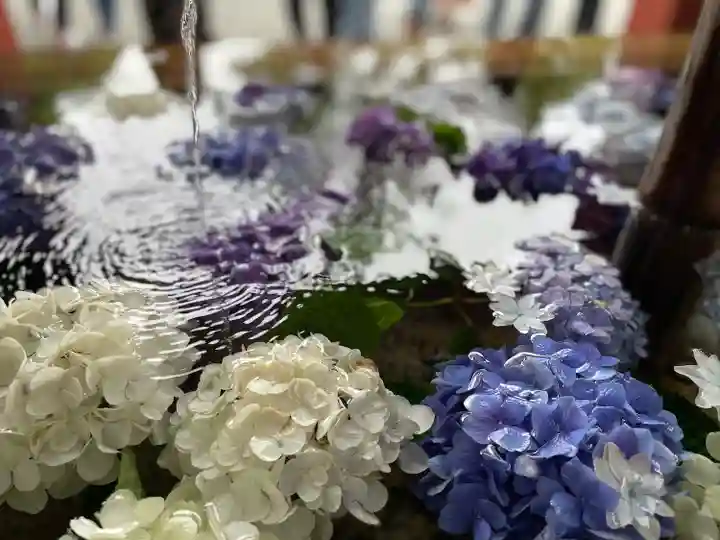 鶴岡八幡宮の手水舎