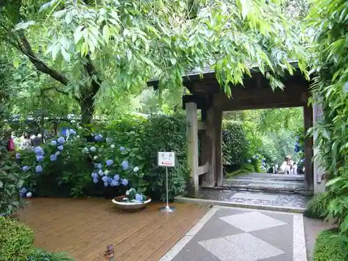 明月院の山門・神門