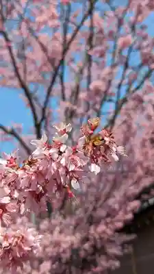 長徳寺(京都府)