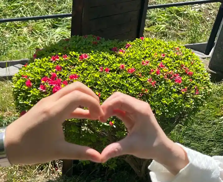 国宝 大法寺のその他建物