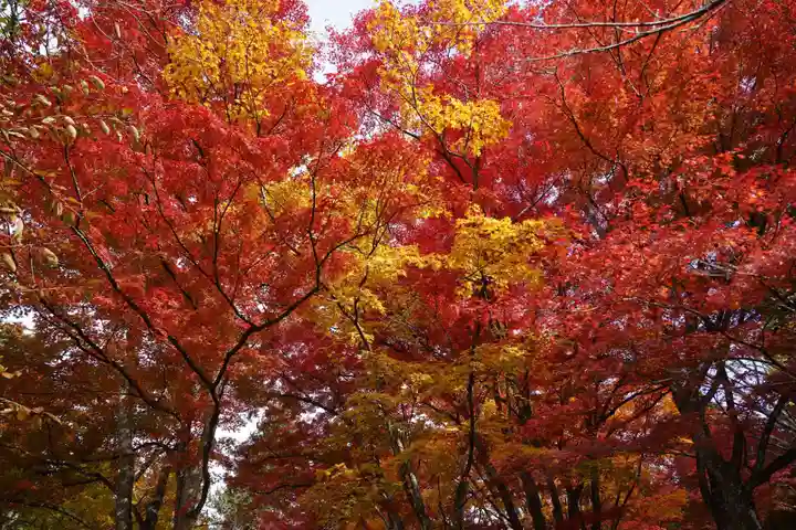 土津神社|こどもと出世の神さまの自然