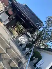 海善寺の山門