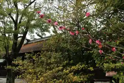 和泉國一之宮　大鳥大社のその他建物