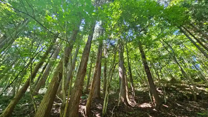 戸隠神社火之御子社(長野県)