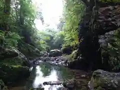 元伊勢天岩戸神社の自然