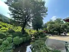 根津神社の庭園