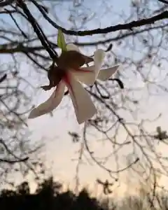 滑川神社 - 仕事と子どもの守り神(福島県)(2025年04月11日(金) 19時10分01秒投稿)