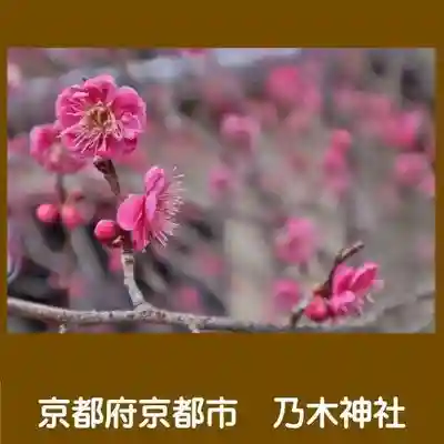 京都乃木神社(京都府)