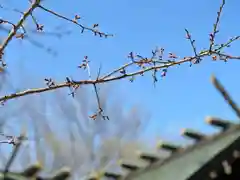 札幌諏訪神社(北海道)