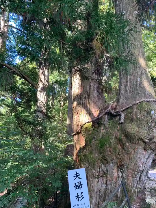 玉置神社の自然