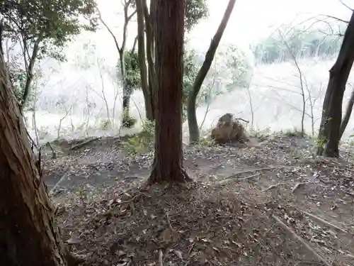 矢田寺の自然