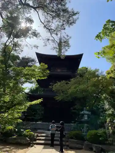 豪徳寺(東京都)