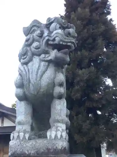 菅原神社の狛犬