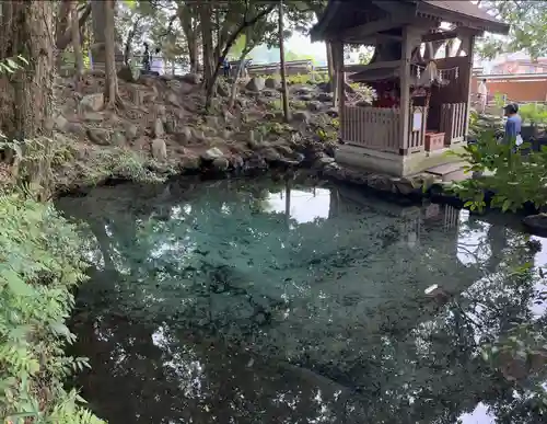 泉神社(茨城県)
