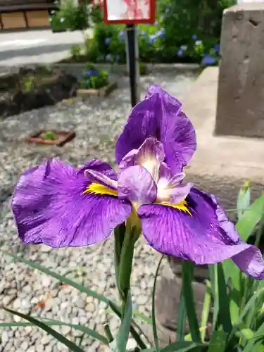 磐井神社(東京都)