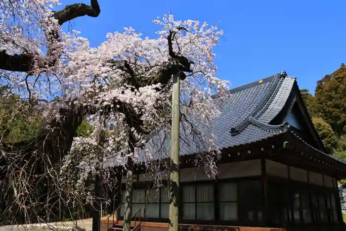 柳生院の本殿