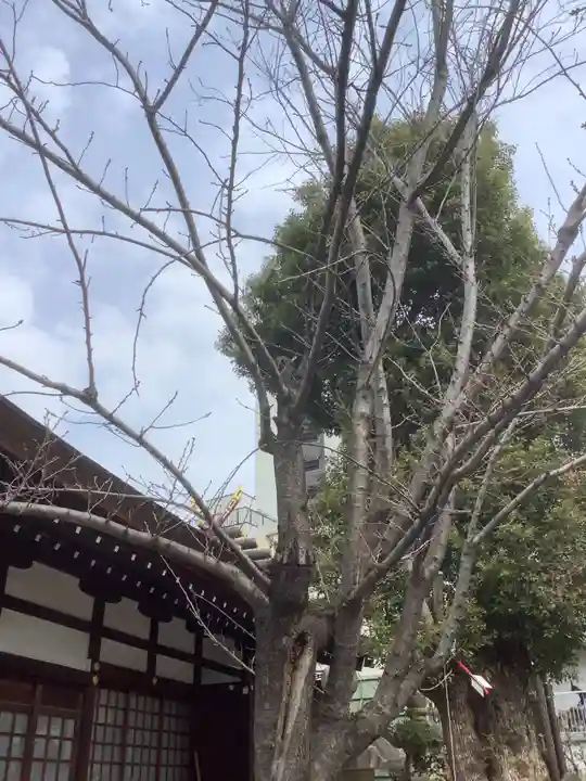 三輪神社の自然
