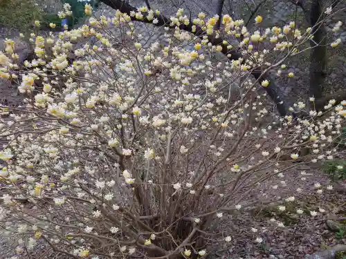 青岸渡寺(和歌山県)
