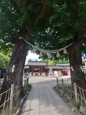 亀ケ池八幡宮(神奈川県)