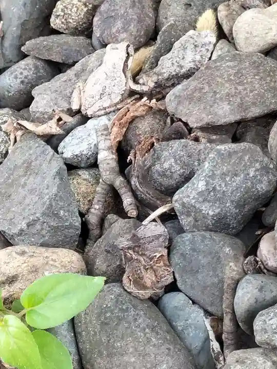 川中島古戦場八幡社(長野県)