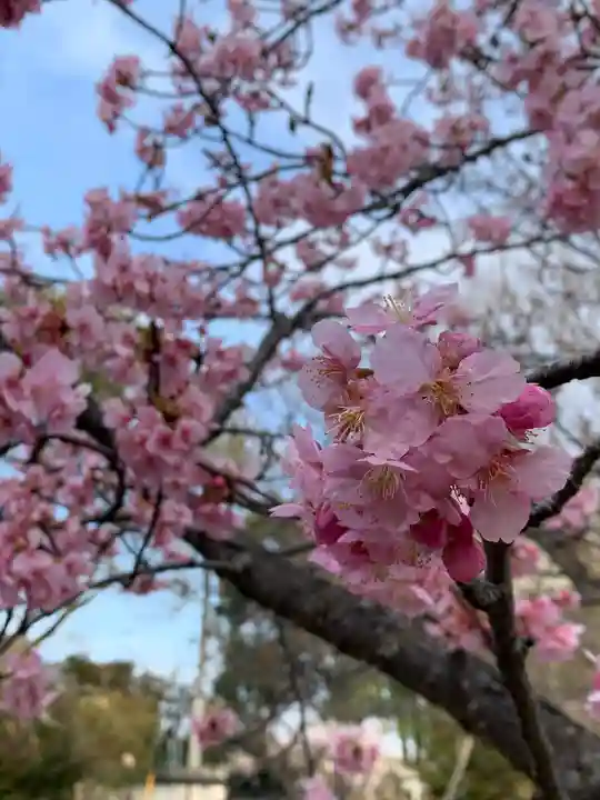 玉敷神社の自然