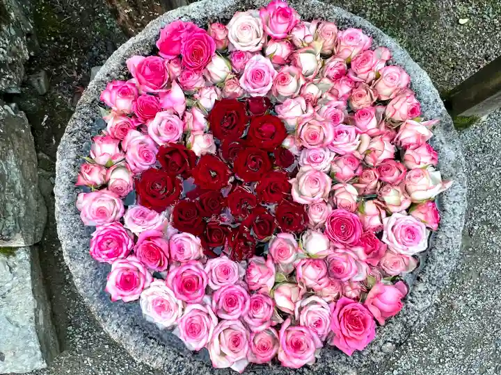 丹生都比売神社(和歌山県)