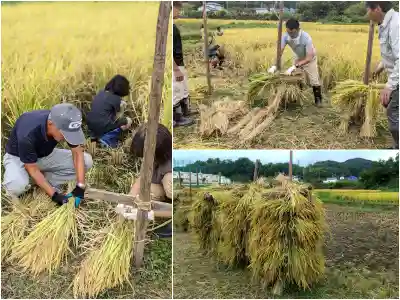 金蛇水神社(宮城県)