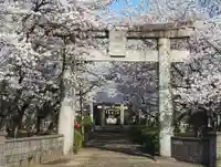 松島神社(佐賀県)