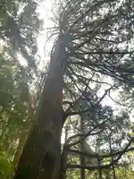 玉置神社の自然