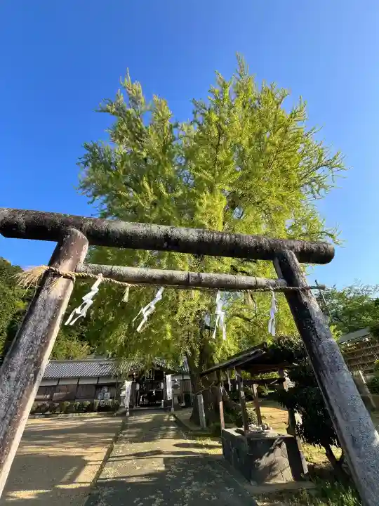 丹生酒殿神社の{uncategorized: "未分類", other: "その他", undefined: "問題あり", building: "その他建物", grave: "お墓", sacred_gate: "鳥居", guardian: "狛犬", statue: "像", buddha: "仏像", history: "歴史", nature: "自然", garden: "庭園", animal: "動物", pagoda: "塔", temizu: "手水舎", mountain_gate: "山門・神門", sanctuary: "本殿・本堂", subordinate: "末社・摂社", art: "芸術", scenery: "景色", jizo: "地蔵", ema: "絵馬", goshuin: "御朱印", omikuji: "おみくじ", items: "授与品その他", amulet: "お守り", goshuincho: "御朱印帳", eats: "食事", festival: "お祭り", votive_dance: "神楽", shichigosan: "七五三参", wedding: "結婚式", experience: "体験その他", initially: "初詣", around: "周辺", anti_infection: "感染症対策"}