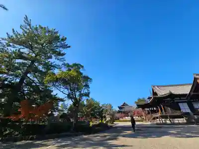 法隆寺(奈良県)