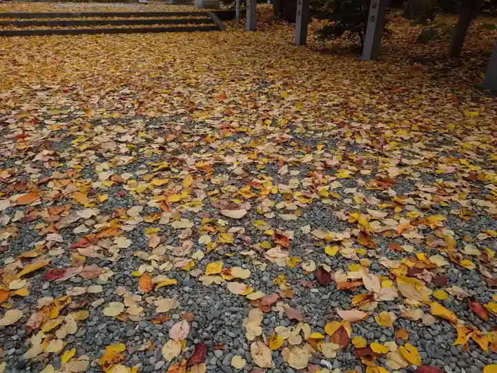 信濃神社の庭園