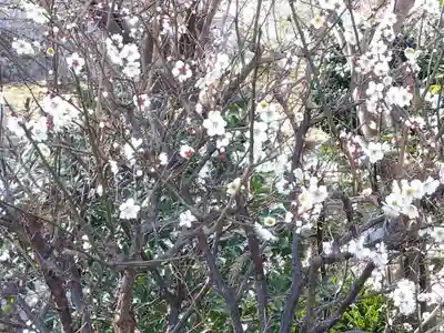 勧学寺(三重県)