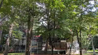 十勝護国神社の本殿・本堂