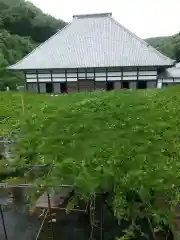 長泉寺(埼玉県)