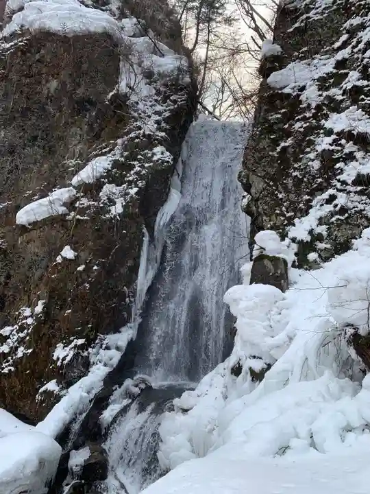桜松神社の自然