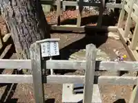 景徳院(山梨県)