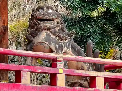 日吉大社の狛犬