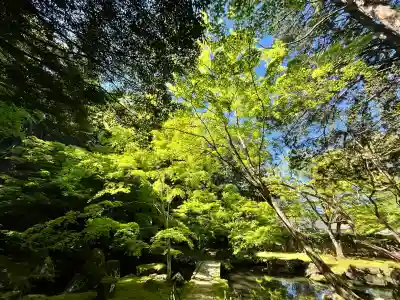 北畠神社の{uncategorized: "未分類", other: "その他", undefined: "問題あり", building: "その他建物", grave: "お墓", sacred_gate: "鳥居", guardian: "狛犬", statue: "像", buddha: "仏像", history: "歴史", nature: "自然", garden: "庭園", animal: "動物", pagoda: "塔", temizu: "手水舎", mountain_gate: "山門・神門", sanctuary: "本殿・本堂", subordinate: "末社・摂社", art: "芸術", scenery: "景色", jizo: "地蔵", ema: "絵馬", goshuin: "御朱印", omikuji: "おみくじ", items: "授与品その他", amulet: "お守り", goshuincho: "御朱印帳", eats: "食事", festival: "お祭り", votive_dance: "神楽", shichigosan: "七五三参", wedding: "結婚式", experience: "体験その他", initially: "初詣", around: "周辺", anti_infection: "感染症対策"}