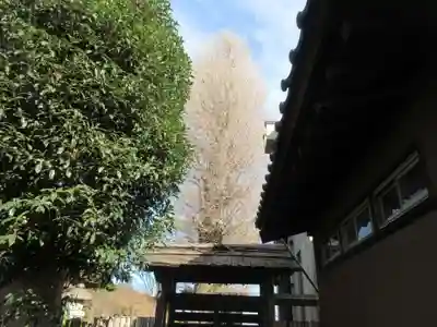 了源寺(神奈川県)